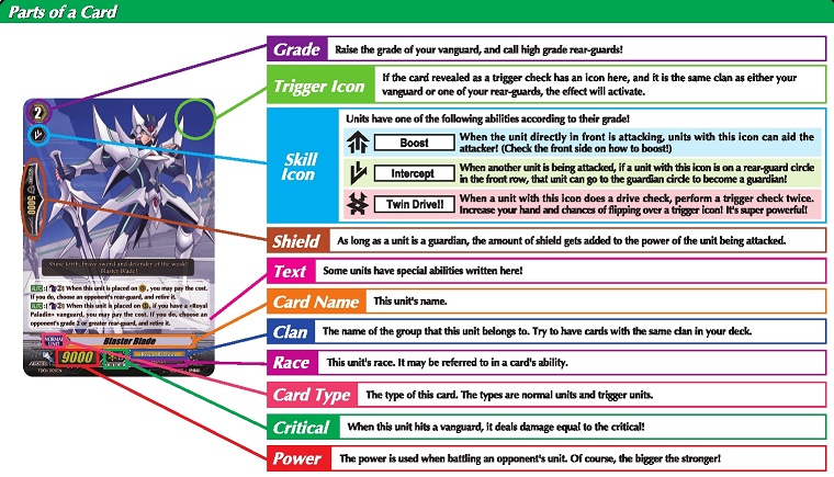 Basic card layout