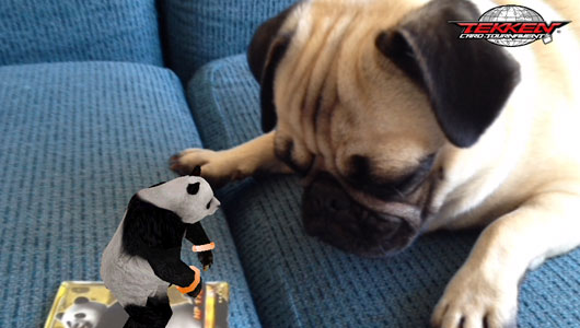 AR-Panda-with-dog