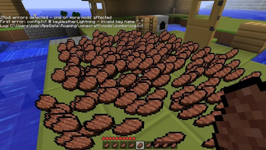 Porkchops